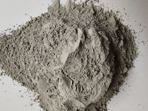 �o�C�������